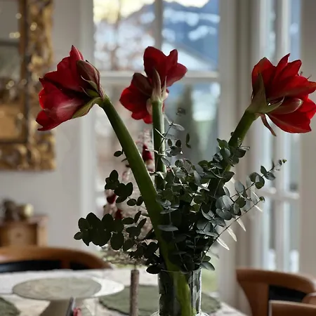 Kitzbuhel *